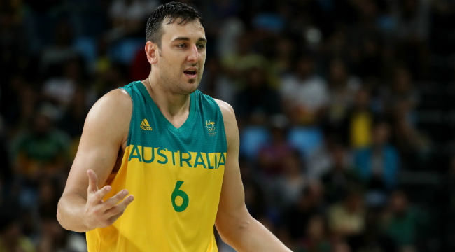 andrew bogut