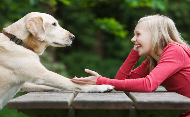 Dog sitting across from girl on picnic table