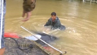 Harrowing Footage Shows A Woman And Her Dog Rescued From Drowning In Baton Rouge