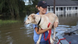 How To Help The Victims Of Louisiana’s Catastrophic Floods