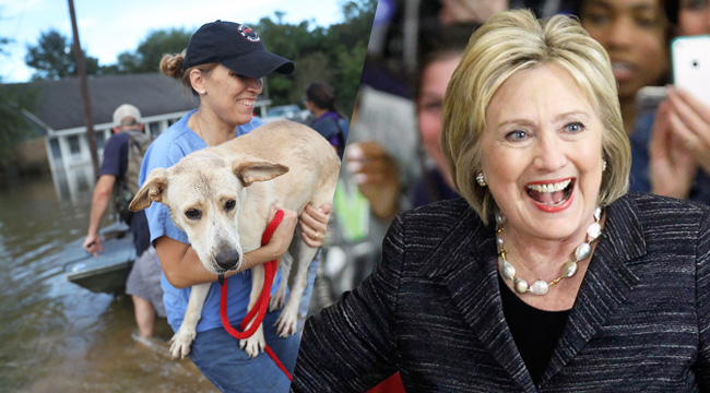 la-dog-clinton