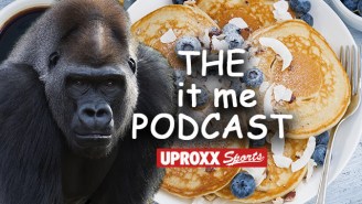 The ‘It Me’ Podcast: Harambe Would Have Loved Lollapalooza (And Brunch)