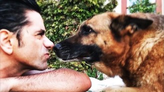 John Stamos Posted A Heartbreaking Tribute To His Beloved Dog Linka