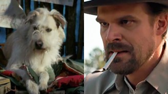 ‘Stranger Things” David Harbour reveals the awful truth about that ‘damn dog’