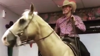 A Texas Man Decided To Ride His Horse Into Taco Bell