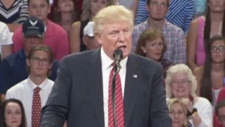 Donald Trump Hints That Maybe The ‘2nd Amendment People’ Could Do *Something* To Stop Hillary Clinton