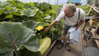 Meet The Gardener That Grows 100-Pound Vegetables Like It Ain’t No Thing