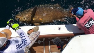 The Nuggets’ Wilson Chandler Caught A Gigantic Fish That Doesn’t Seem Real