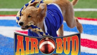 The Internet Can’t Stop Lampooning Apple’s iPhone 7 And Air Bud– Er, ‘AirPods’