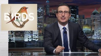 John Oliver Tells Birds To Go [Expletive] Themselves In This ‘Last Week Tonight’ Web Exclusive