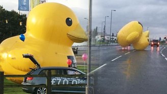 This Is What Happens When A Giant Inflatable Duck Escapes Its Shackles