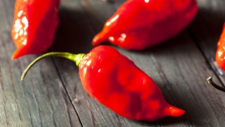 All Hell Broke Loose When About 40 Middle School Children Ate Ghost Peppers On A Dare