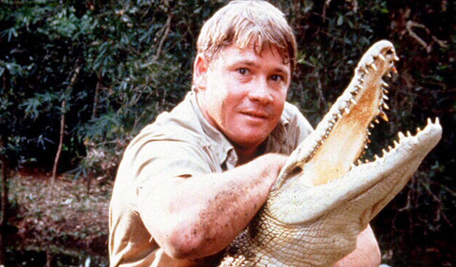 Steve Irwin: Celebrating A Legacy Of Conservation And Education