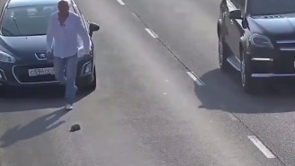 This Guy Took Everyday Heroism To The Next Level By Rescuing A Kitten From A Busy Highway