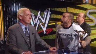 Ric Flair Thinks CM Punk Should Just ‘Do Something Else’ After His UFC Loss