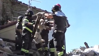 Romeo The Dog Has Been Rescued After 9 Days Trapped In Italian Earthquake Rubble