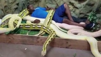 Here’s The Pacers’ Kevin Seraphin Cuddling With Some Gigantic Snakes For No Reason