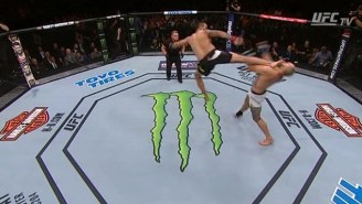 Never Forget That A Heavyweight Fight Opened With A Flying Jump Kick At UFC 203