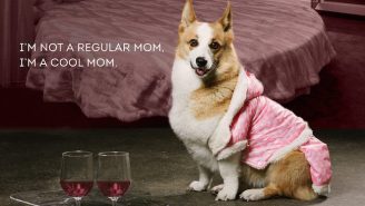 You Can’t Sit With These Adorable Puppies Recreating The Best Scenes From ‘Mean Girls’