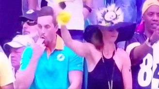 This Dolphins Bro Harassing A Random Steelers Fan Might Be The World’s Worst Fan