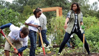 Michelle Obama Boldly Protects Her White House Garden Against Future Bulldozing Presidents