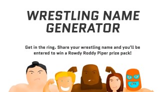 Get A Jump-Start On Your Pro Wrestling Career With This Wrestling Name Generator
