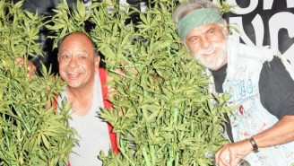 Cheech And Chong Make Their Case For Pot Legalization With A Tasty Facebook Meme
