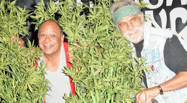 Cheech And Chong Make A Case For Pot Legalization With A Meme