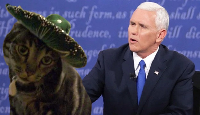 thatmexicanthing-mike-pence-vp-debate-sombrero-cat_youtube-getty