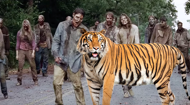 walking-dead-ezekial-tiger