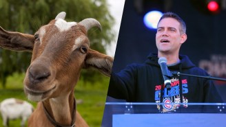 Cubs Executives Celebrated By Eating A Delicious Goat In The Wrigley Field Bleachers