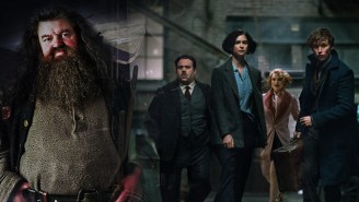 ‘Fantastic Beasts’ And Where To Find Hagrid: A Wizarding World Refresher
