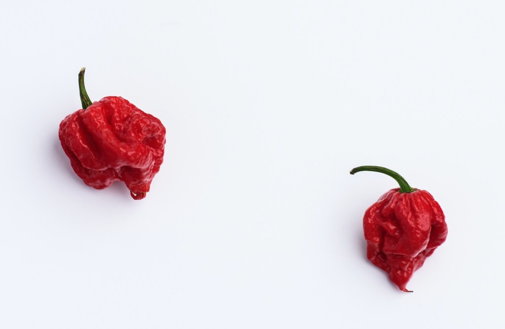 Watch This Lunatic The Carolina Reaper World Record Holder