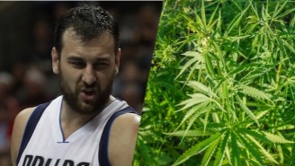 Andrew Bogut Told A Hilarious Story About The Time He Once Tried To Buy Marijuana