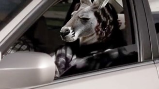 The Fighting Kangaroo Gets A Gangsta Movie Trailer And We Need To Fund It