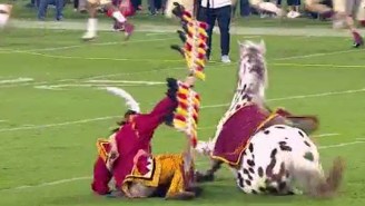Florida State’s Horse Mascot Attempted A Revolt Against Its Human Overlord