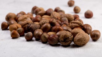 Science: Eating Nuts Decreases The Risk Of Heart Disease, Cancer, And Premature Death