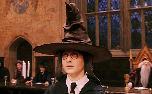 Newly Discovered Spider Looks Like Rowling's Hogwarts Sorting Hat