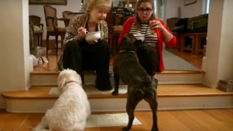Watch Debbie Reynolds And Carrie Fisher Trade Quips In The ‘Bright Lights’ Trailer