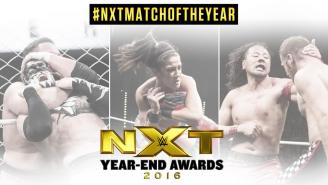 You Can Vote Right Now For The Official 2016 NXT Year-End Awards