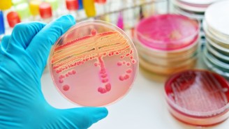 This Superbug Is Resistant To Everything And Has Already Killed Someone In America