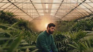 The Dirty Projectors’ ‘Little Bubble’ Video Reflects On Sudden Loneliness
