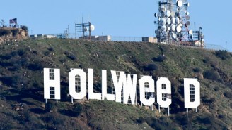 The Alleged Mastermind Behind The ‘Hollyweed’ Sign On New Year’s Day Wanted To Kick Off 2017 With Positivity