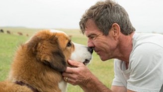 Universal Cancels The Premiere Of ‘A Dog’s Purpose’ After Disturbing Video Of On-Set Dog Mistreatment Emerges