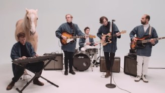 Real Estate’s New Video For ‘Darling’ Proves Horses Feel Ennui Too
