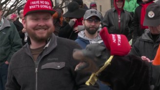Triumph The Insult Comic Dog Takes An Ornery Tour Of The Supporters At Trump’s Inauguration