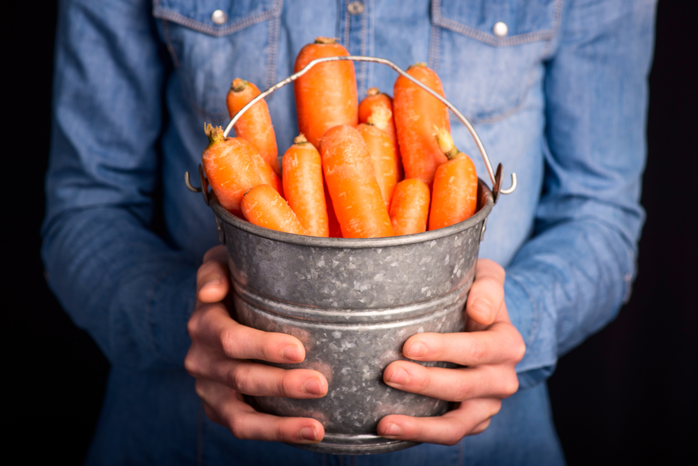 Carrots Don't Make You See Better After All