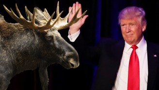 A Swedish Newspaper Trolled Trump’s Terror Attack Claim With A Horny Moose