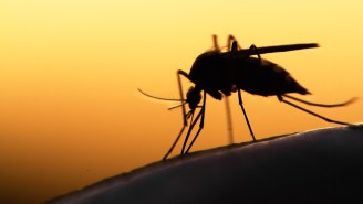 A Malaria Vaccine Passes A Major Trial With Ease