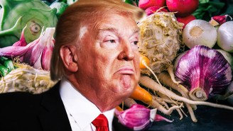 Trump’s Deportation Strategy Might Accidentally Destroy American Agriculture